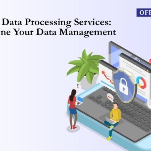 Online Data Processing Services